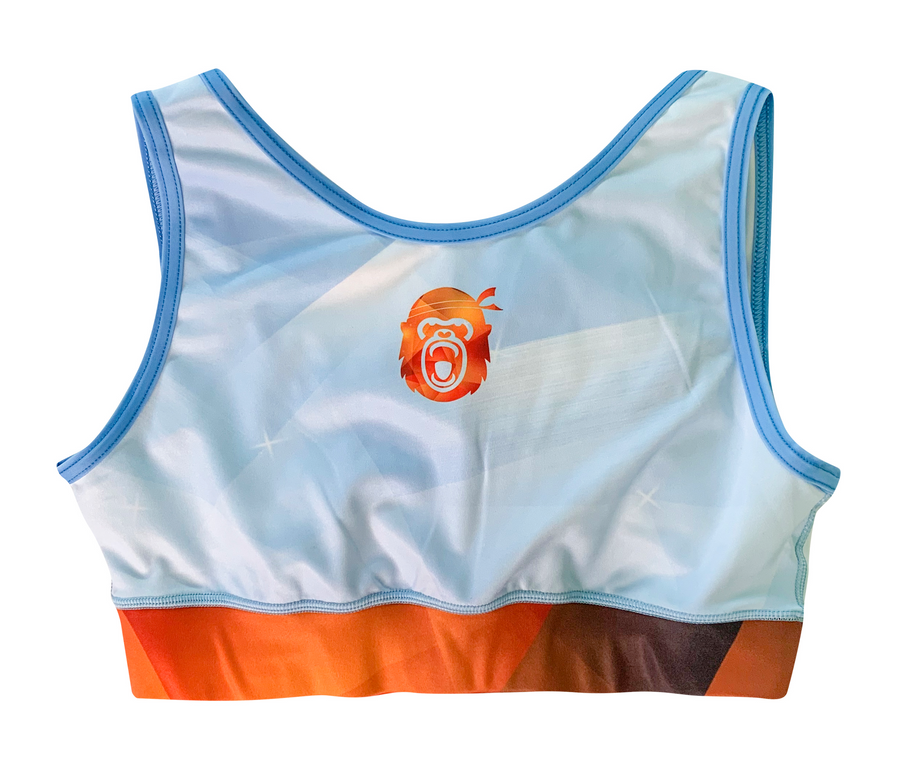 Retired Series 3 Sports Bra